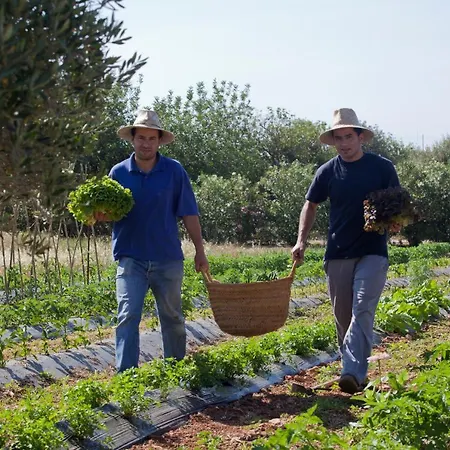 Casa rural Sa Carrotja - Adults Only *